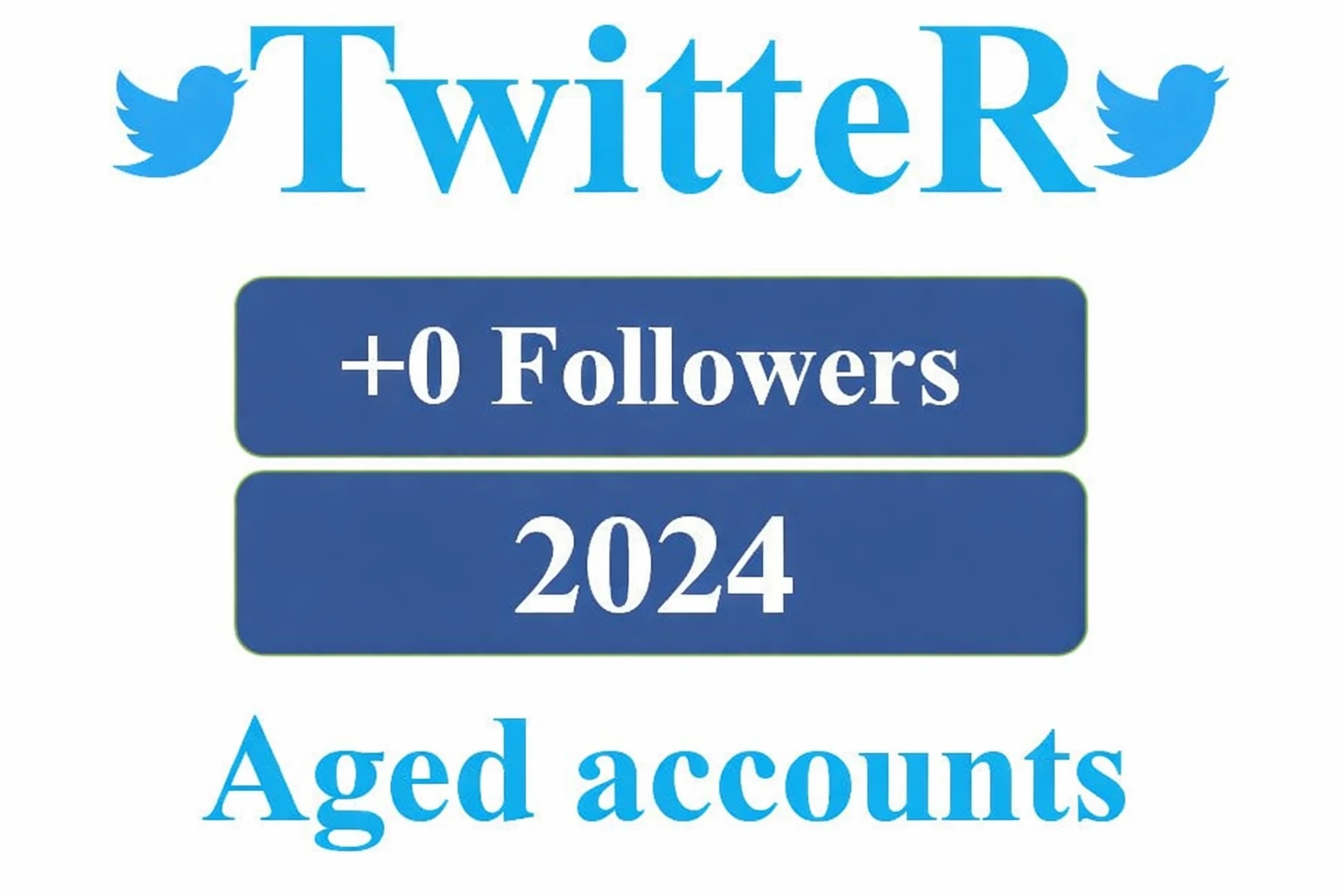 Twitter aged 2024 + auth_token + firstmail included + 2FA