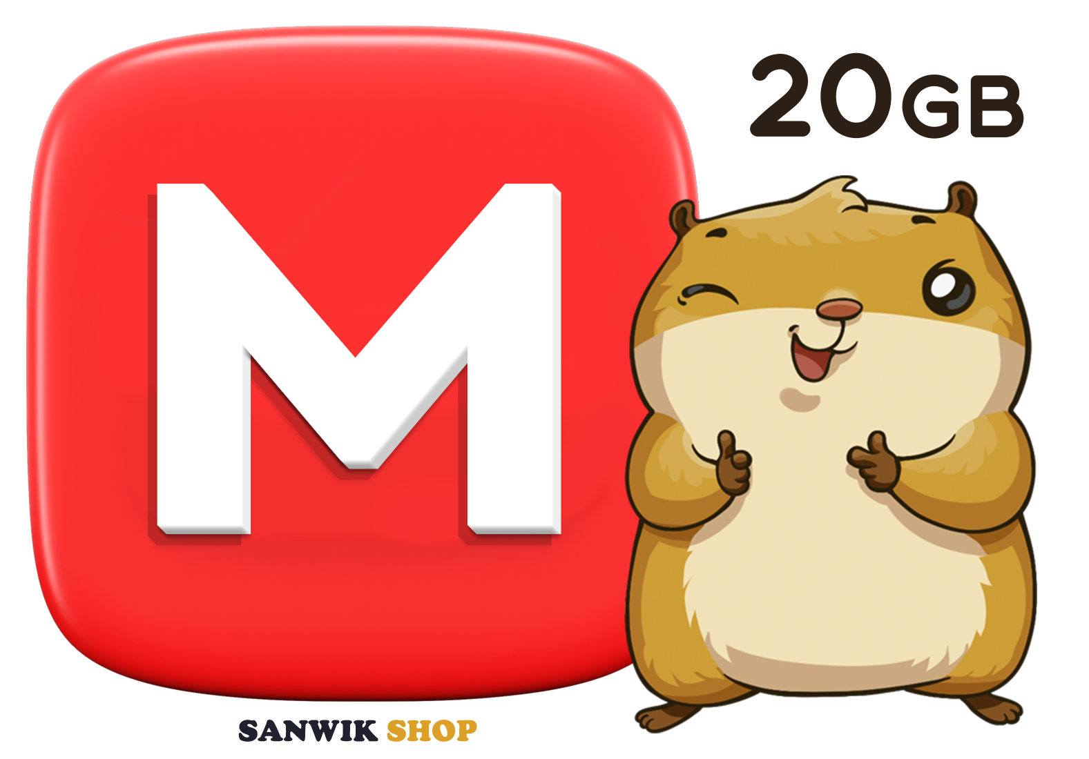 Mega ▪︎ 20GB ▪︎ Secret Key + Mail included