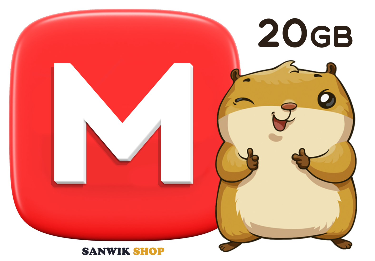 Mega ▪︎ 20GB ▪︎ Secret Key + Mail included